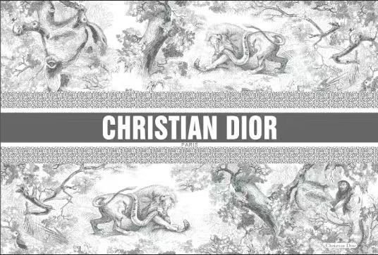 Dior dish placement for dining table plates